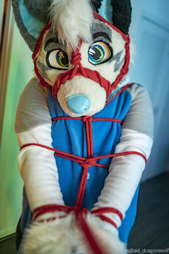 ad_dragonwolf