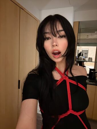 Bbaybeebirkin