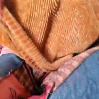 Cami Sweet Alastonkuvavuotoja OnlyFansista 40