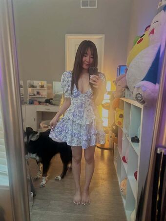 Emily Wang Alastonkuvavuotoja OnlyFansista 46