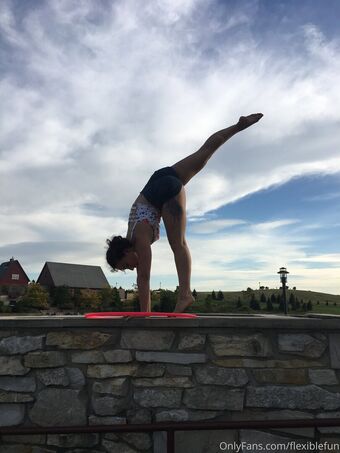 flexiblefun