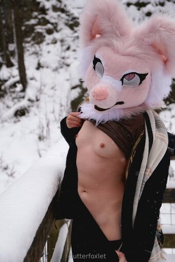 flutterfoxlet Alastonkuvavuotoja OnlyFansista 17