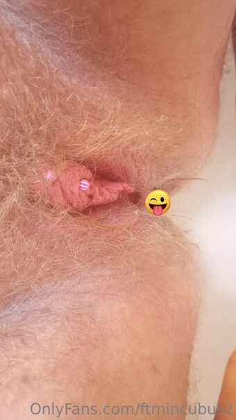 Ftmincubus2