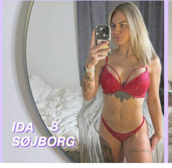 Idasojborg