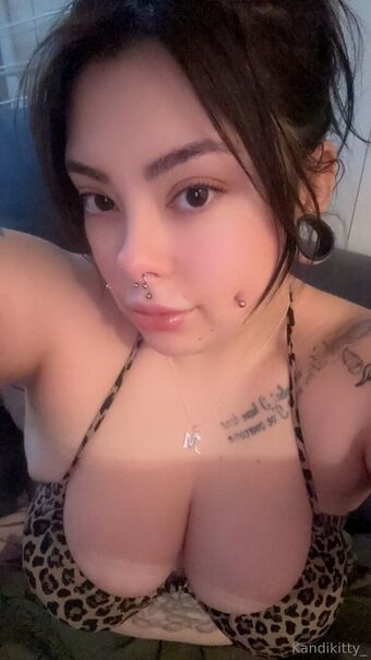 kandikitty