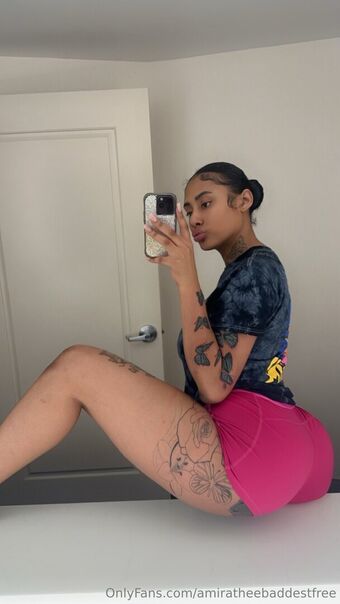 katttrapfree