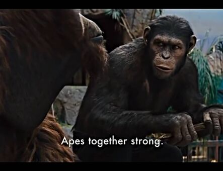 lilijunex Alastonkuvavuotoja OnlyFansista 125