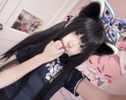 Mewsect