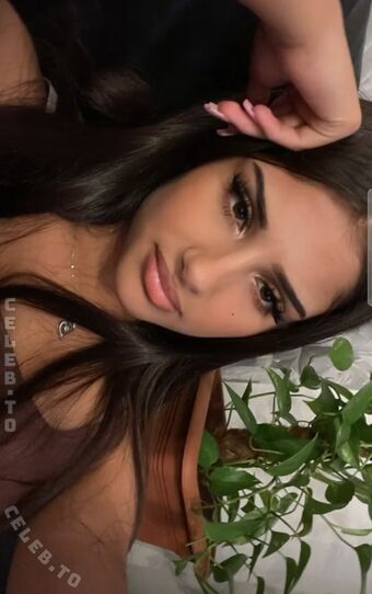 niloo.wlz