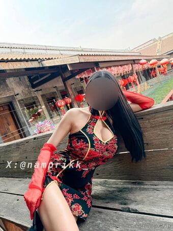 npxvip