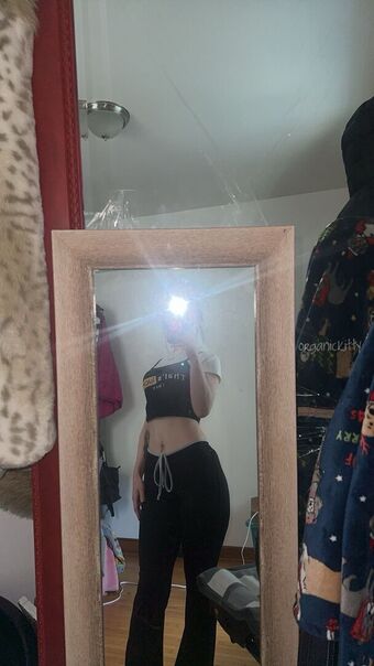 Organickitty