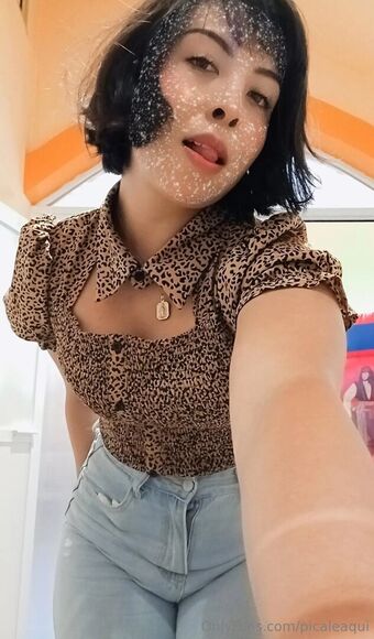 picaleaqui