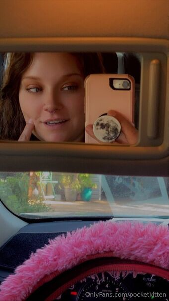pocketkitten