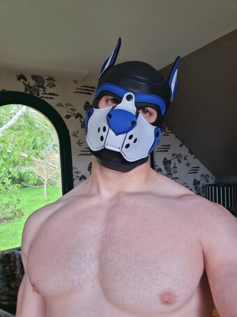 pupbuday