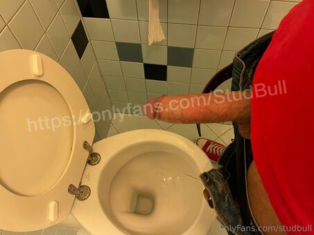 studbull
