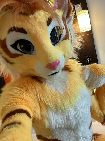 thatyellowkitty