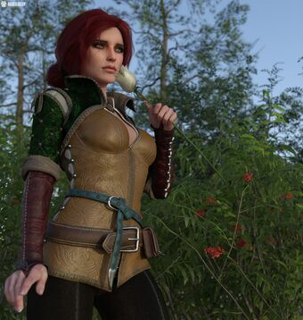 The-witcher