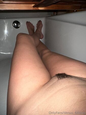 venus_kittyxo